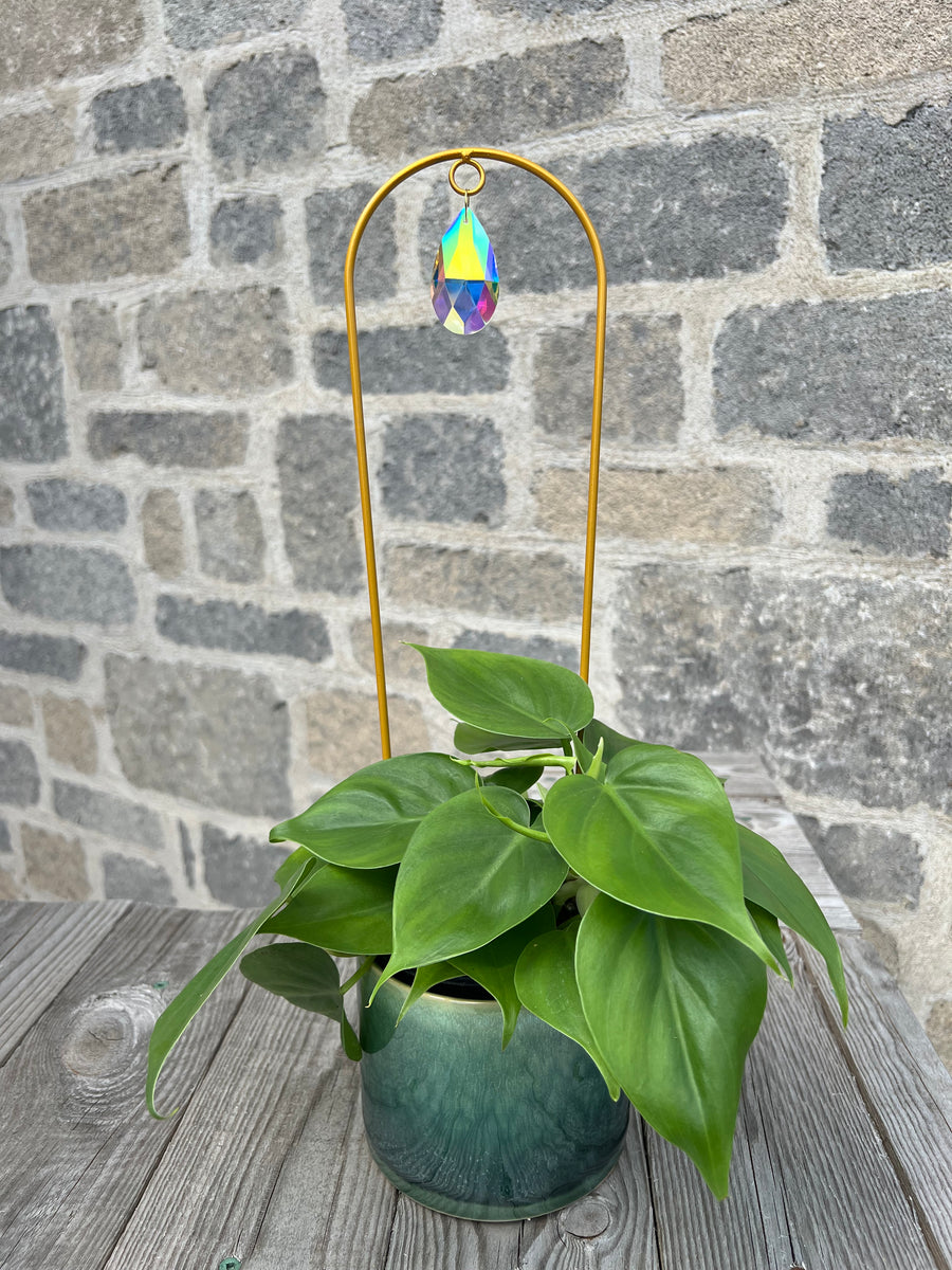 Suncatcher Holder 'Héméra' Witchiemimibijoux Végétal Design Qc