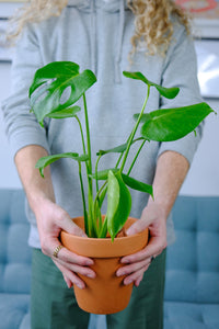 Avoir le pouce vert c'est un mythe! 🌿