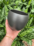 'Wild' plant pot