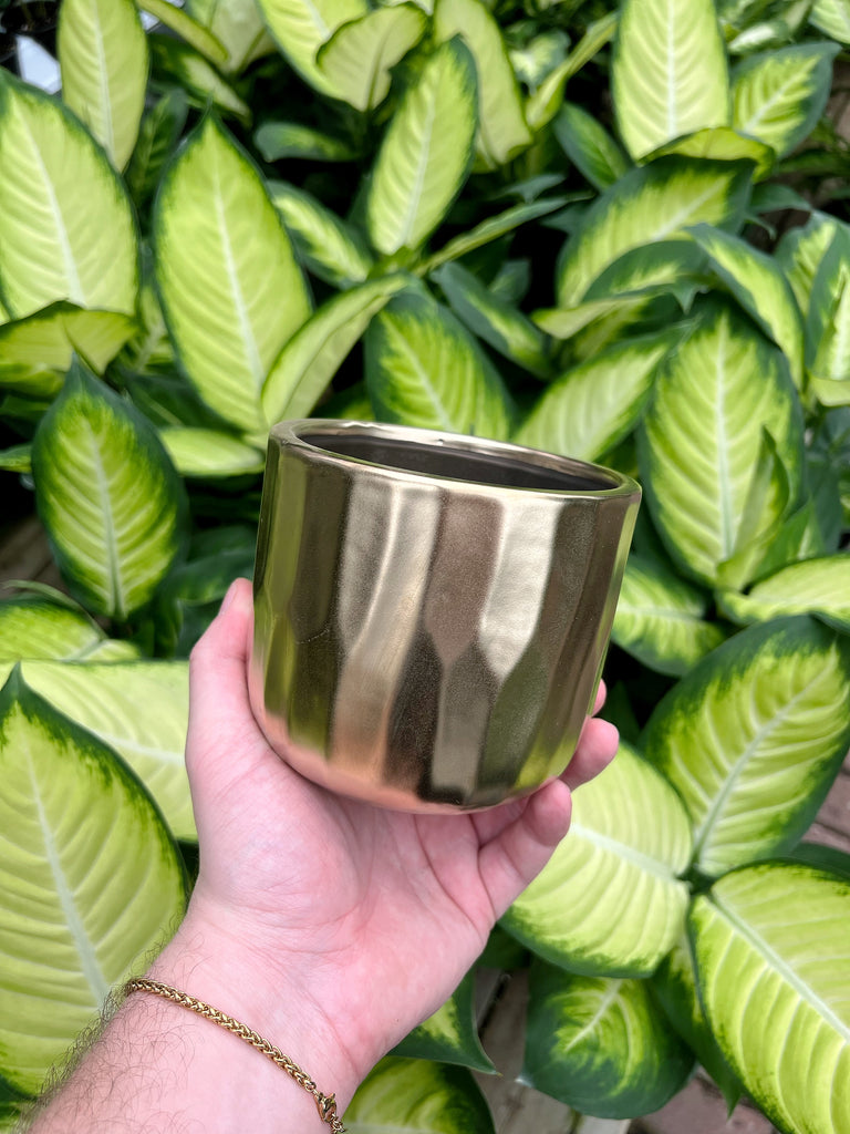 Cache-pot 'Remy' – Végétal Design Qc