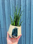 Flowerpot and Vase - Hoya Atelier