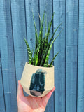 Cache-pot et Vase - Hoya Atelier