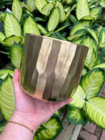 Cache-pot 'Remy' – Végétal Design Qc