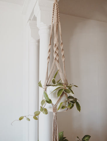 Medium/Large Braided Planter - Hang in There Shop.