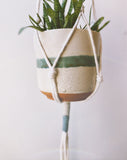 Color Gradient Planter - Hang in There Shop.