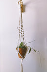 Small/Medium Braided Planter - Hang in There Shop.