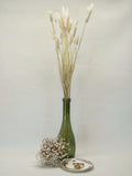 Bouquet de Bunny Tails blanchis - Fleur de Lagurus blanchie