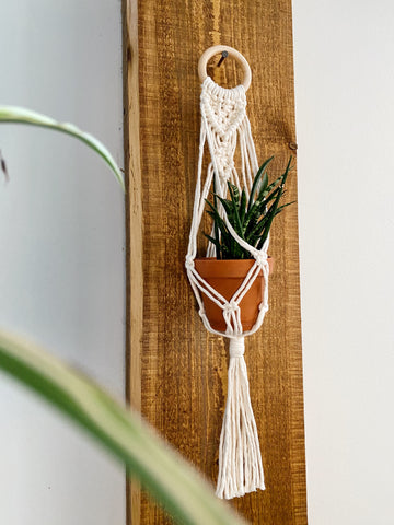 Woven Wall Planter - Hang in There Shop.