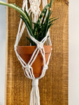 Woven Wall Planter - Hang in There Shop.
