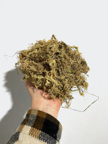 Sphagnum moss - 1.5 L